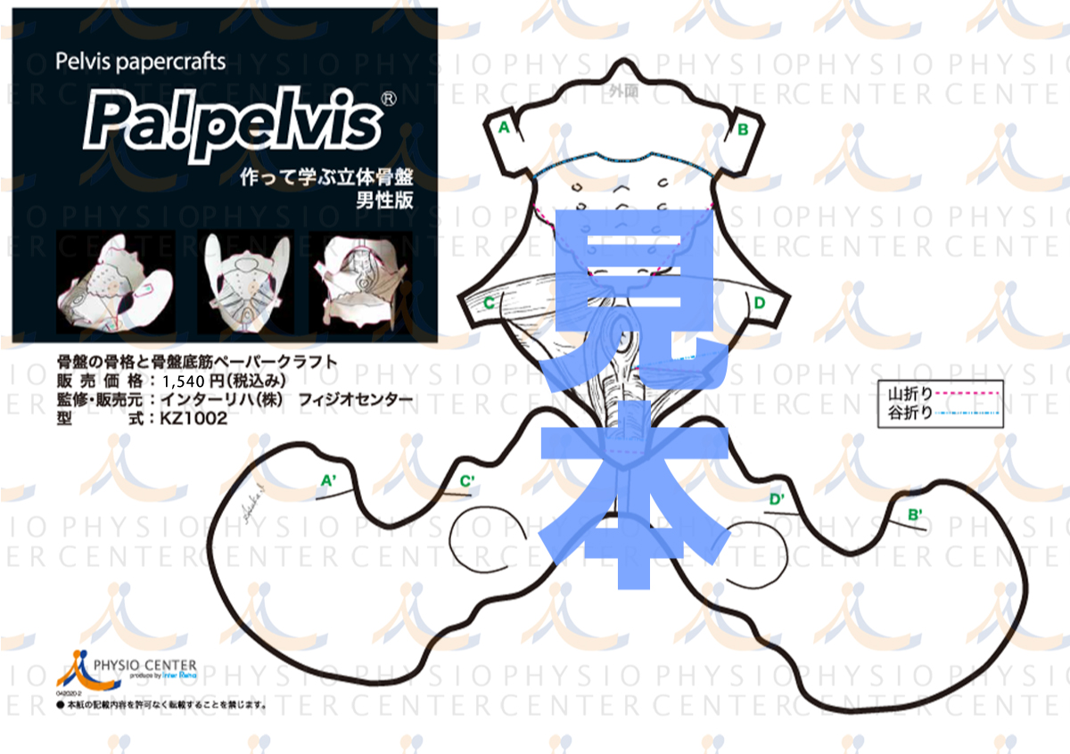 Pa!pelvis（パペルビス）男性版